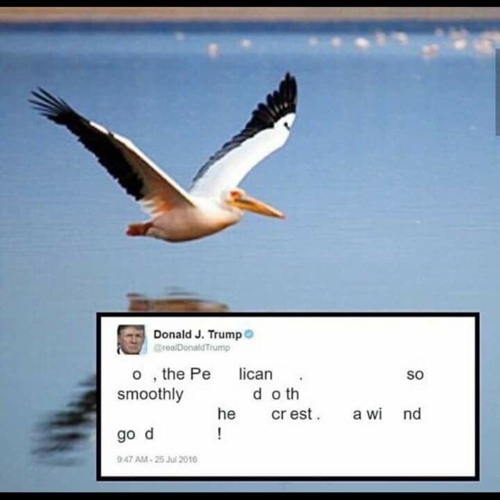 🚨 🚨 🚨